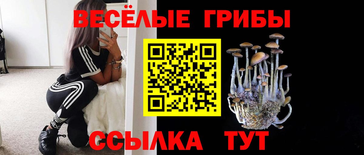 Новочеркасск  Галлюциногенные грибы MAGIC MUSHROOMS  Вход с VPN 